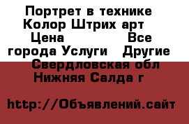 Портрет в технике “Колор-Штрих-арт“ › Цена ­ 250-350 - Все города Услуги » Другие   . Свердловская обл.,Нижняя Салда г.